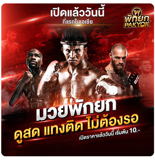 ดูสดแทงติดไม่ต้องรอ